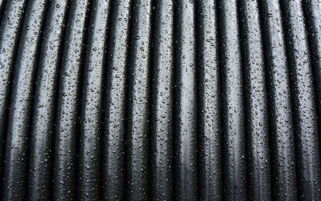 Lorem ipsum lorem ipsum